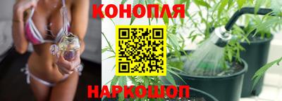 прущие грибы Балашиха