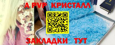 прущие грибы Балашиха