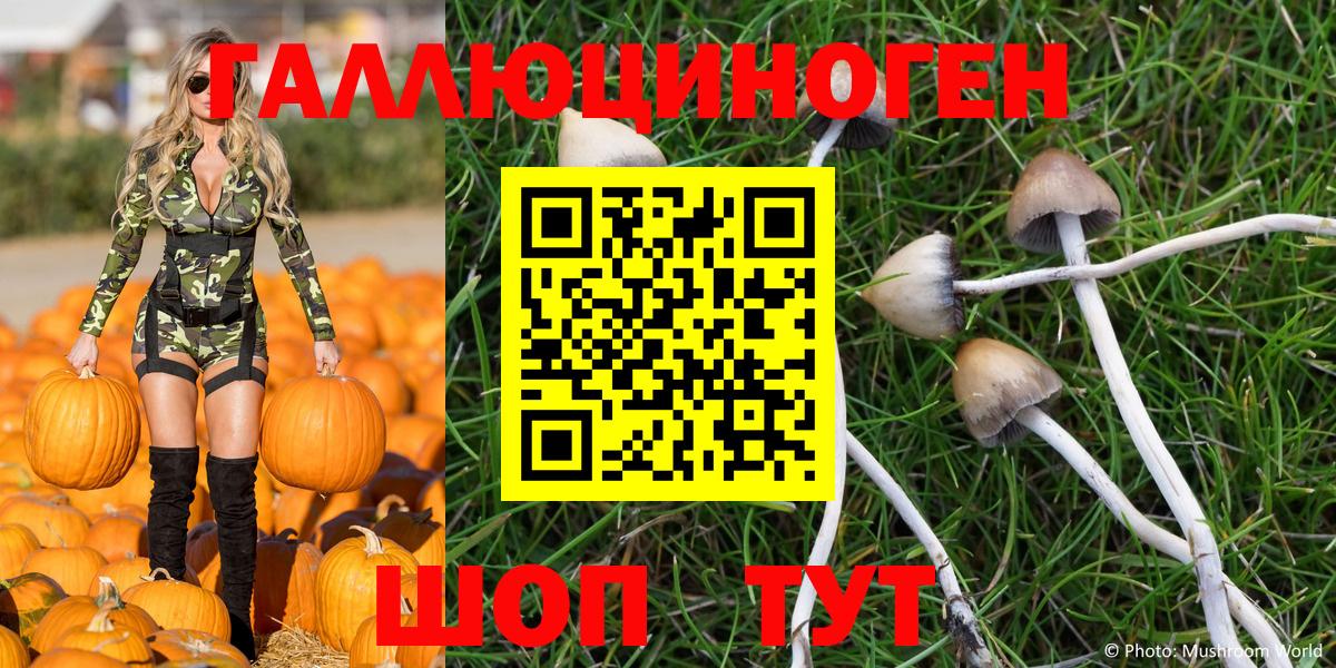Галлюциногенные грибы Psilocybe Белая Калитва
